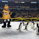 Illustration for article titled PETA And The Pittsburgh Zoo Are Beefing Over Some Startled Penguins